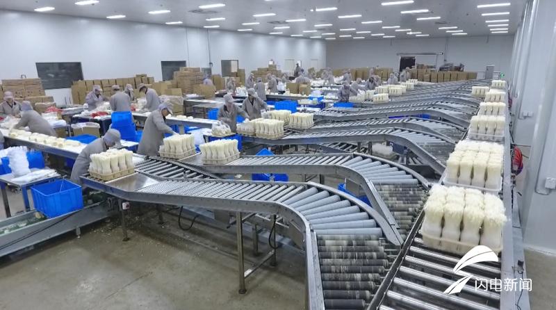 科技扶貧新起點，鄉(xiāng)村振興新篇章——2019年山東農(nóng)業(yè)科技服務(wù)(扶貧)月啟動儀式在鄒城盛大舉行